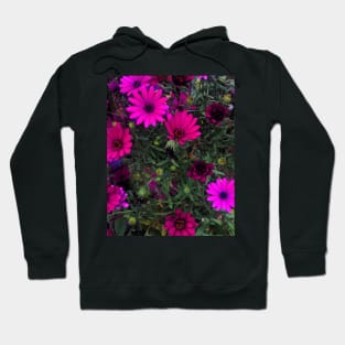 Purple Daisies Hoodie